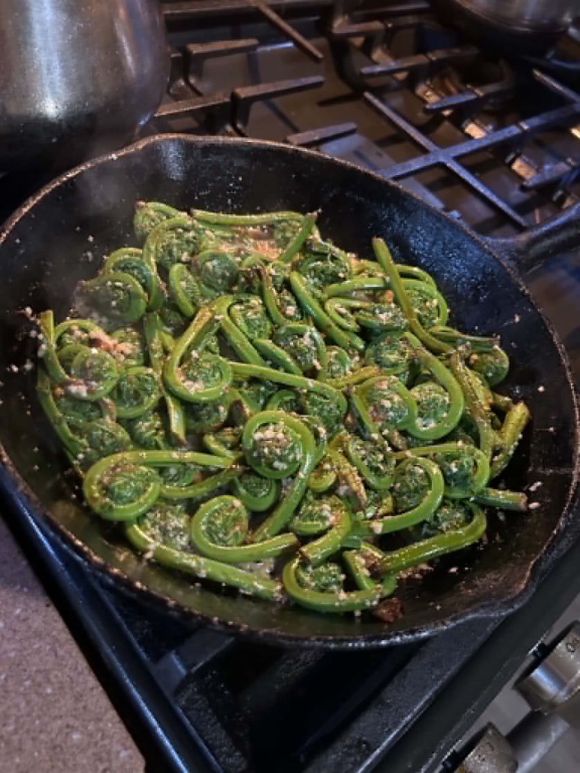 Fiddleheads Image